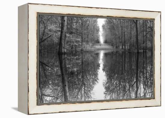 Suwanne Reflection Pano - BW-Moises Levy-Framed Premier Image Canvas