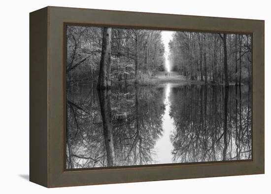 Suwanne Reflection Pano - BW-Moises Levy-Framed Premier Image Canvas