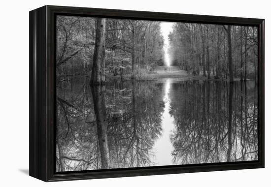 Suwanne Reflection Pano - BW-Moises Levy-Framed Premier Image Canvas