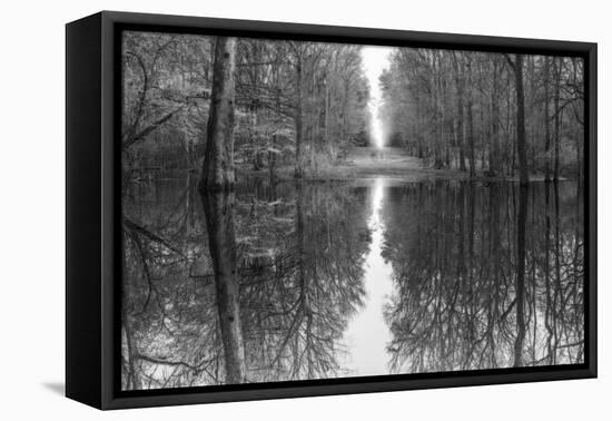 Suwanne Reflection Pano - BW-Moises Levy-Framed Premier Image Canvas