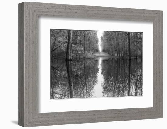 Suwanne Reflection Pano - BW-Moises Levy-Framed Photographic Print