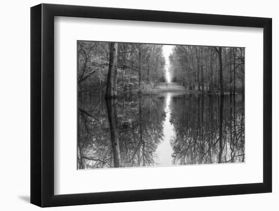 Suwanne Reflection Pano - BW-Moises Levy-Framed Photographic Print