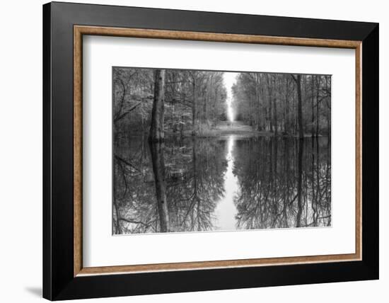 Suwanne Reflection Pano - BW-Moises Levy-Framed Photographic Print