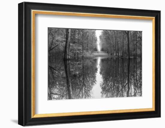 Suwanne Reflection Pano - BW-Moises Levy-Framed Photographic Print