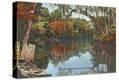 Stretched Canvas Print