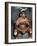 Suya Indian Dressed for Dance, Brazil, South America-Robin Hanbury-tenison-Framed Photographic Print