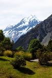 Waikouaiti Reserve, Otago, South Island, New Zealand, Pacific-Suzan Moore-Photographic Print