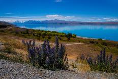 Waikouaiti Reserve, Otago, South Island, New Zealand, Pacific-Suzan Moore-Photographic Print