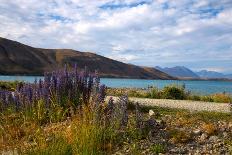 Waikouaiti Reserve, Otago, South Island, New Zealand, Pacific-Suzan Moore-Photographic Print