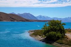 Waikouaiti Reserve, Otago, South Island, New Zealand, Pacific-Suzan Moore-Photographic Print