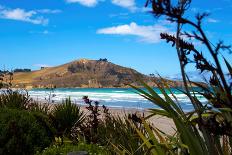 Waikouaiti Reserve, Otago, South Island, New Zealand, Pacific-Suzan Moore-Photographic Print