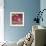 Suzani Chair-Linda Arthurs-Framed Giclee Print displayed on a wall