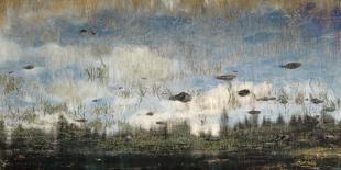 Soft Reflections-Suzanne Ernst-Giclee Print