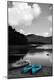 Photographic Print