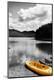 Photographic Print