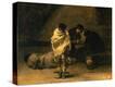 Stretched Canvas Print