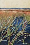 Pastel Wetlands II-Suzanne Wilkins-Art Print