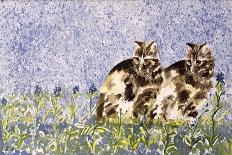 Cat Kins-Suzi Kennett-Giclee Print