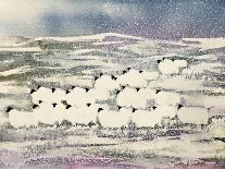 Sheep in Winter-Suzi Kennett-Giclee Print