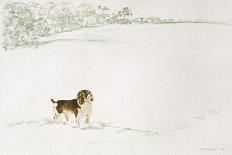 Deer in Snow-Suzi Kennett-Giclee Print