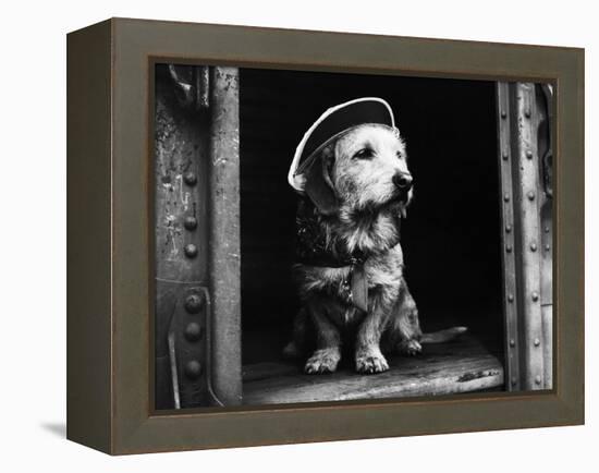 Suzie the Railroad Dog-null-Framed Premier Image Canvas