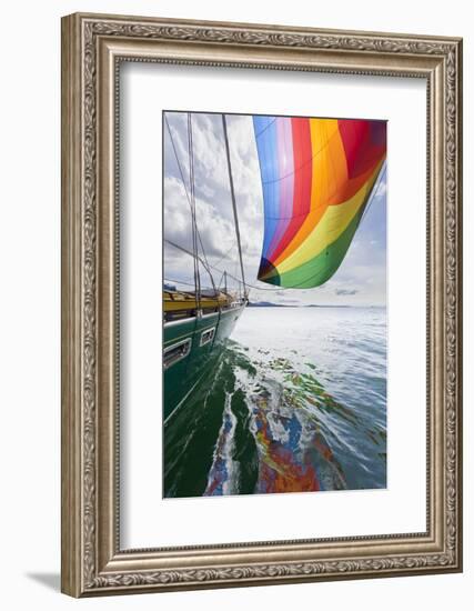 SV Nawalk with Spinnaker Flying, San Juan Islands, Washington, USA-Jaynes Gallery-Framed Photographic Print