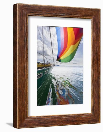 SV Nawalk with Spinnaker Flying, San Juan Islands, Washington, USA-Jaynes Gallery-Framed Photographic Print