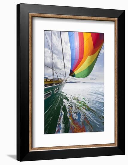 SV Nawalk with Spinnaker Flying, San Juan Islands, Washington, USA-Jaynes Gallery-Framed Photographic Print