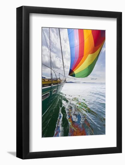 SV Nawalk with Spinnaker Flying, San Juan Islands, Washington, USA-Jaynes Gallery-Framed Photographic Print