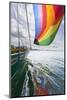 SV Nawalk with Spinnaker Flying, San Juan Islands, Washington, USA-Jaynes Gallery-Mounted Photographic Print