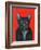 Svarc the Dog I, 2002-Tamas Galambos-Framed Giclee Print