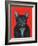 Svarc the Dog I, 2002-Tamas Galambos-Framed Giclee Print