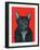 Svarc the Dog I, 2002-Tamas Galambos-Framed Giclee Print