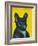 Svarc the Dog II, 2002-Tamas Galambos-Framed Giclee Print