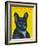 Svarc the Dog II, 2002-Tamas Galambos-Framed Giclee Print