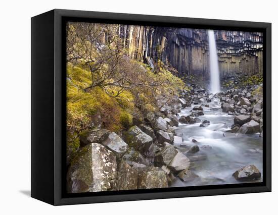 Svartifoss Waterfall in the Skaftafell National Park, Iceland, Polar Regions-Lee Frost-Framed Premier Image Canvas