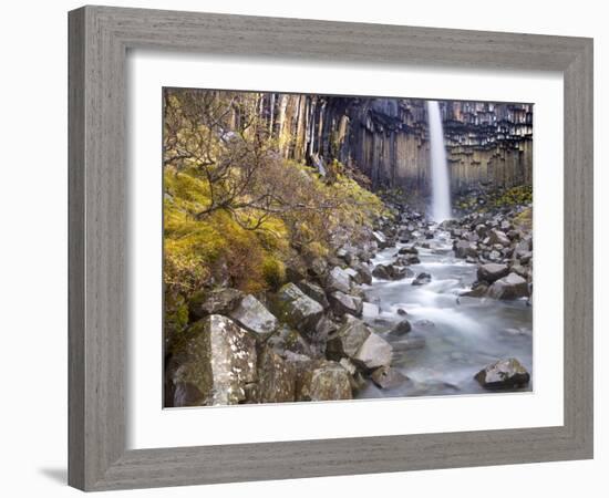 Svartifoss Waterfall in the Skaftafell National Park, Iceland, Polar Regions-Lee Frost-Framed Photographic Print