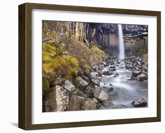 Svartifoss Waterfall in the Skaftafell National Park, Iceland, Polar Regions-Lee Frost-Framed Photographic Print