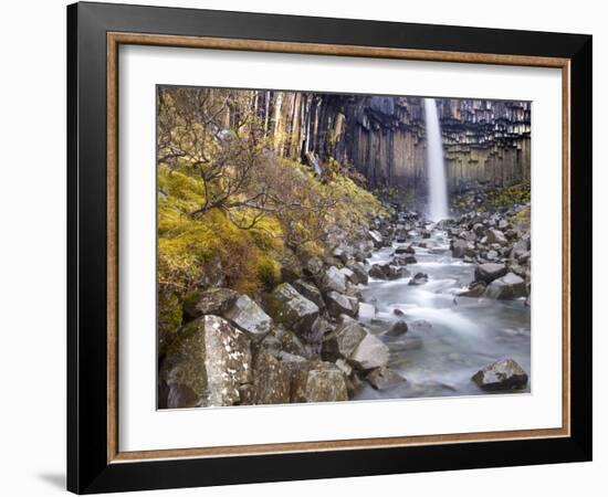 Svartifoss Waterfall in the Skaftafell National Park, Iceland, Polar Regions-Lee Frost-Framed Photographic Print