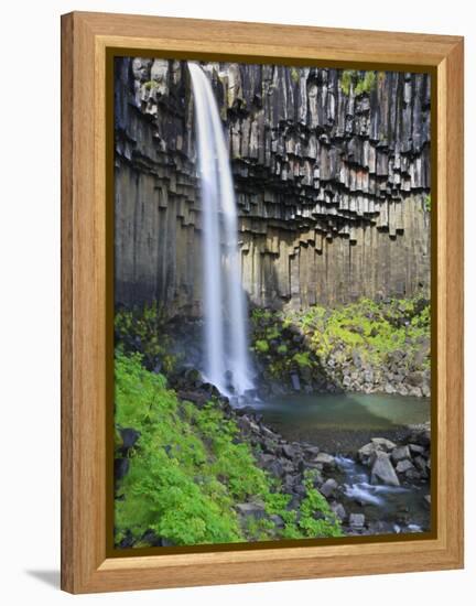 Svartifoss Waterfall, Skaftafell Park, Iceland-Michele Falzone-Framed Premier Image Canvas