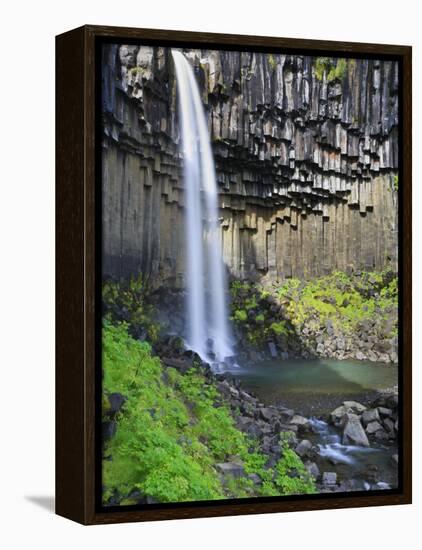 Svartifoss Waterfall, Skaftafell Park, Iceland-Michele Falzone-Framed Premier Image Canvas