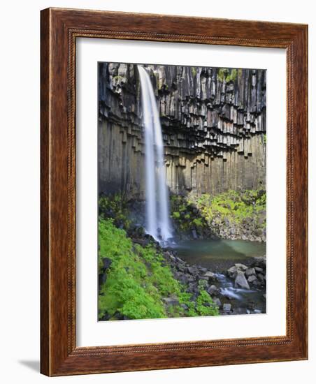 Svartifoss Waterfall, Skaftafell Park, Iceland-Michele Falzone-Framed Photographic Print