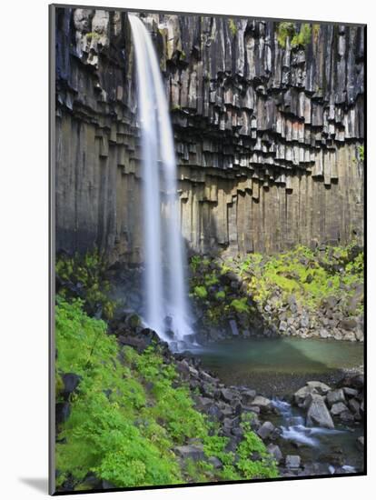 Svartifoss Waterfall, Skaftafell Park, Iceland-Michele Falzone-Mounted Photographic Print