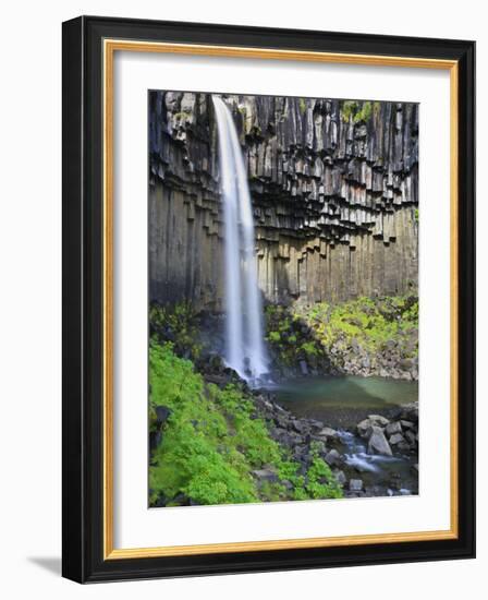 Svartifoss Waterfall, Skaftafell Park, Iceland-Michele Falzone-Framed Photographic Print