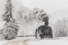 Old train-Sveduneac Dorin Lucian-Framed Photographic Print