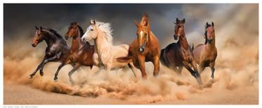 Desert Run-Svetlana-Art Print