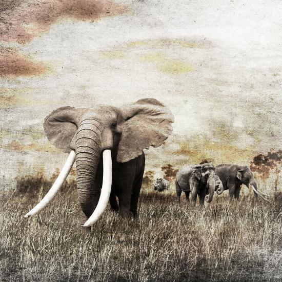 Photographic Print, , large