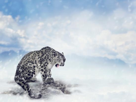 Photographic Print, , large