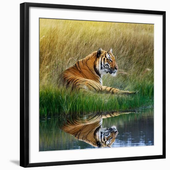 Photographic Print, , large