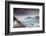 Svinafellsjokull glacier at sunrise in the Skaftafell National Park in southern Iceland.-Alex Saberi-Framed Photographic Print